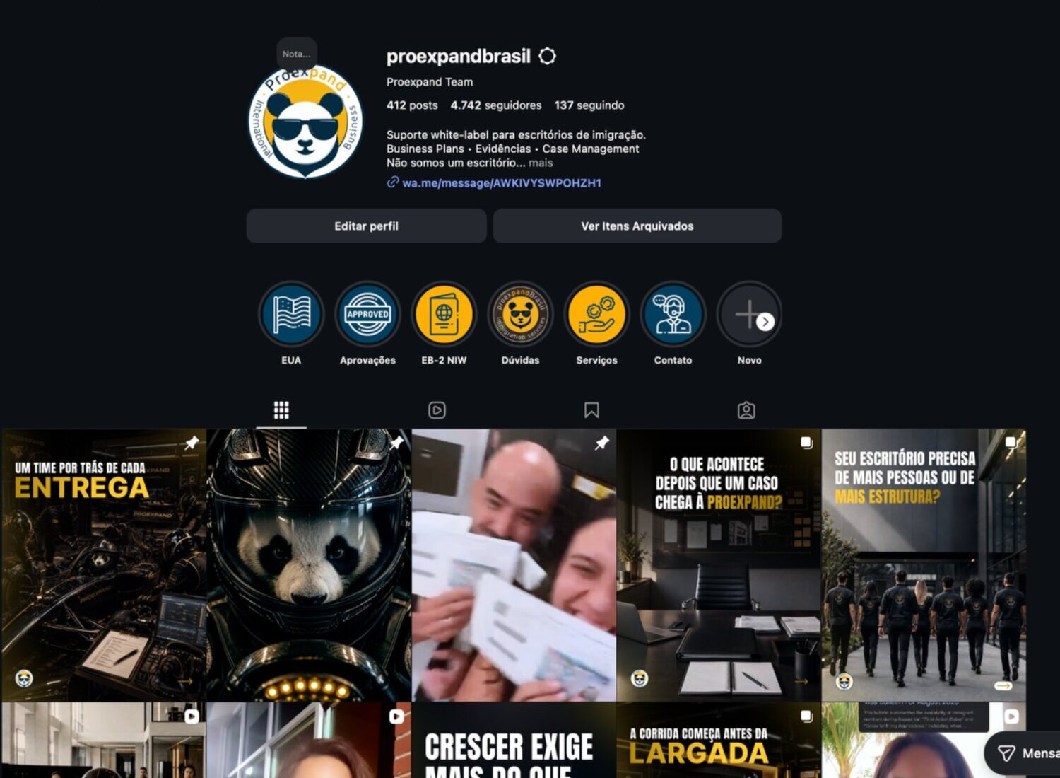 ProExpand Instagram profile and content grid